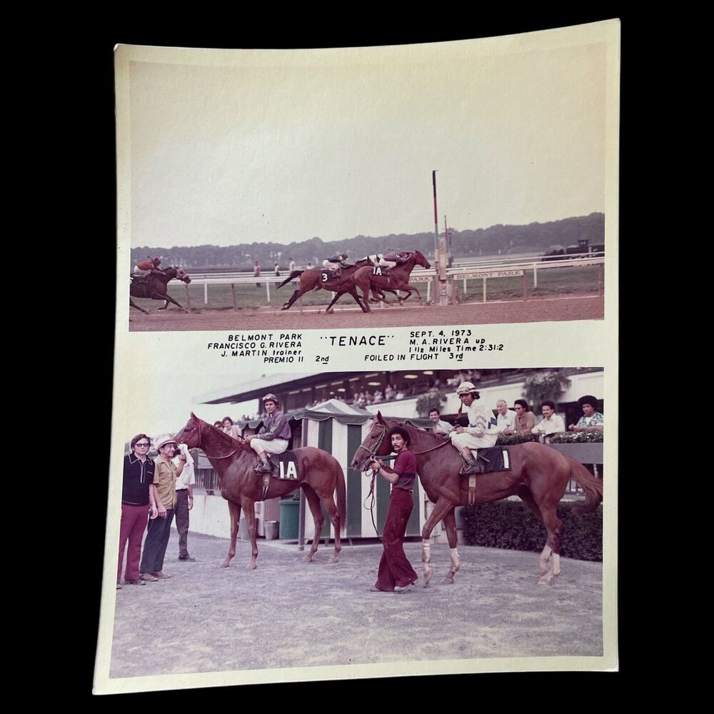 Vintage 1973 Belmont Park Horse Racing Photo Tenace Photo Finish Winner